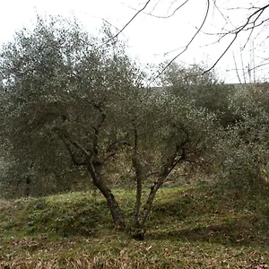 Tradizione Toscana Ristrutturata Nel 2021 Chalet
